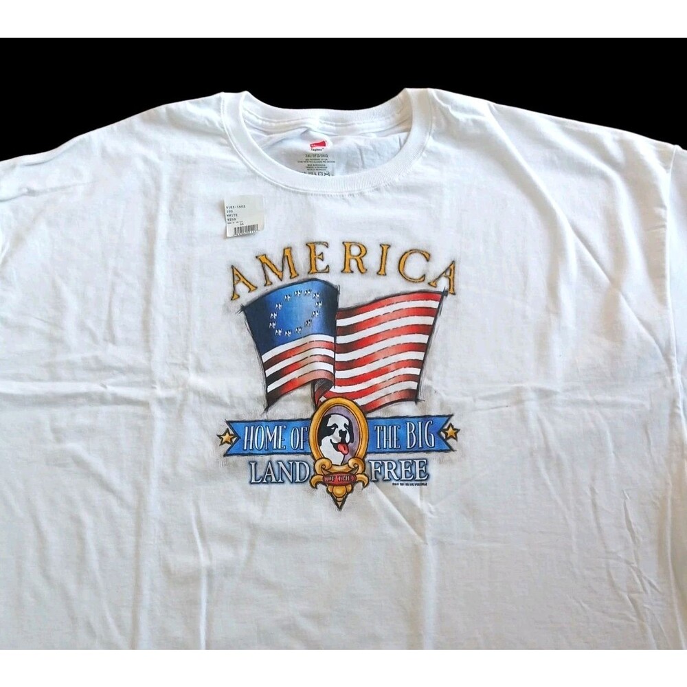 NEW Big Dogs T Shirt Size 3X America Home of the Big Land of Free Hanes Tagless